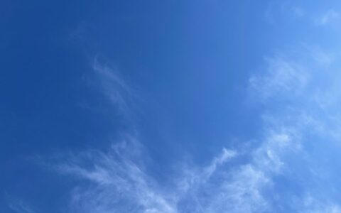 「協調性がありすぎること」が悩みの方いますか？